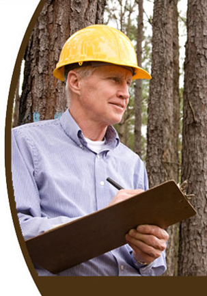 Consulting foresters helping you achieve your long term stewardship goals.